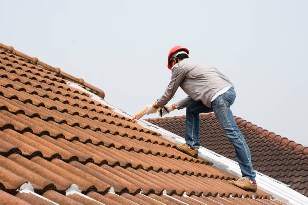 Best Gutter Installation and Repair  in Brooklyn, IA